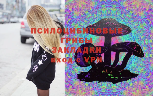 a pvp Магас