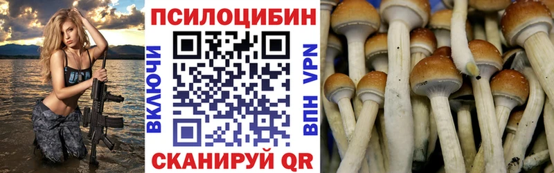 Галлюциногенные грибы мицелий  Ачинск 