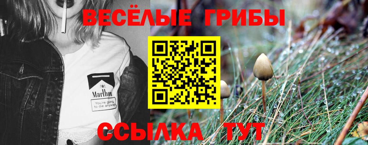 Ачинск  Псилоцибиновые грибы Cubensis  Вход с VPN 