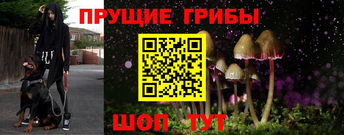 Галлюциногенные грибы MAGIC MUSHROOMS  Ачинск 